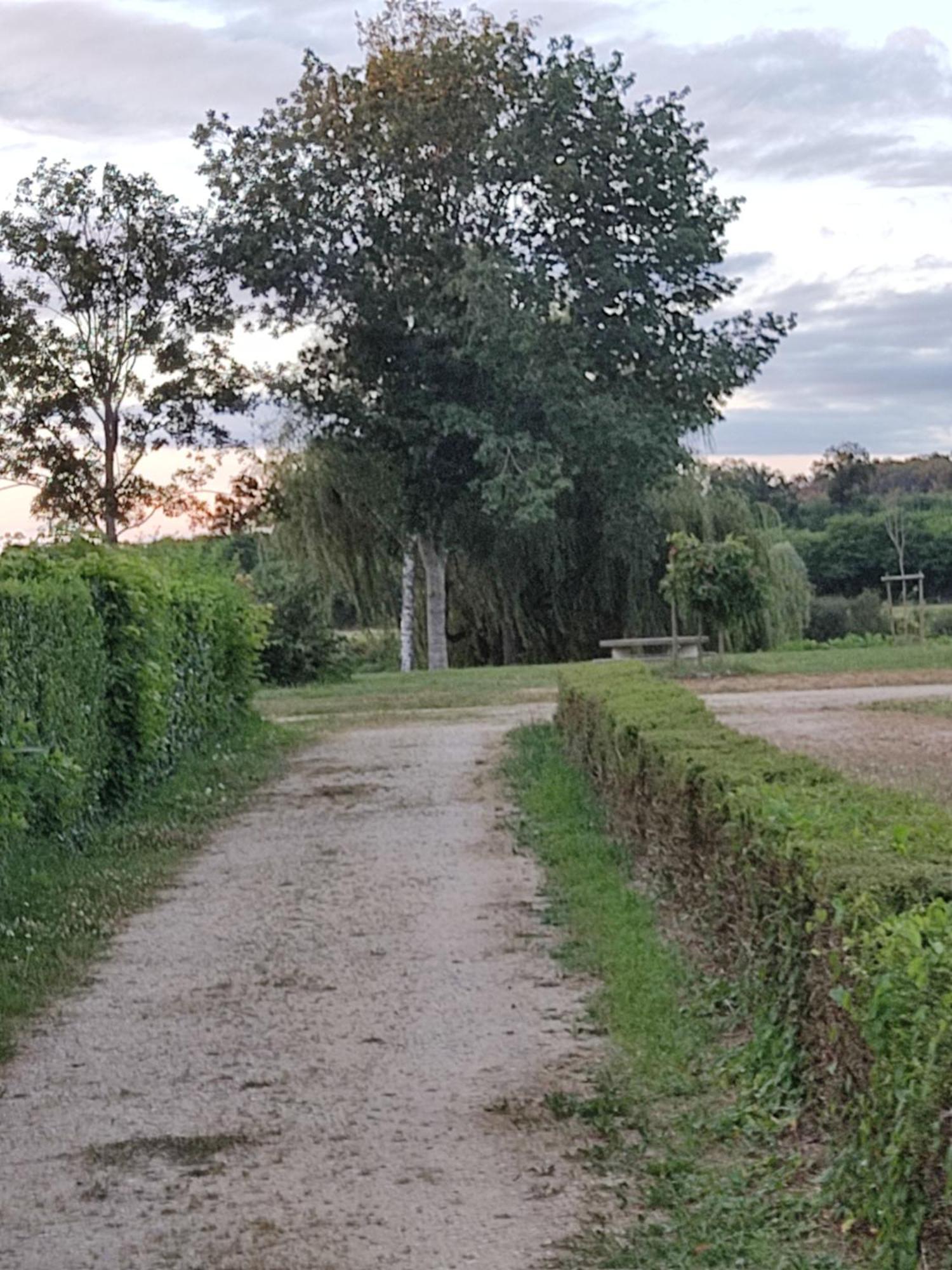 Petit Mas Cosy Du Bord De Loire A 15 Mm Du Parc Le Pal Appartement Diou (Allier)