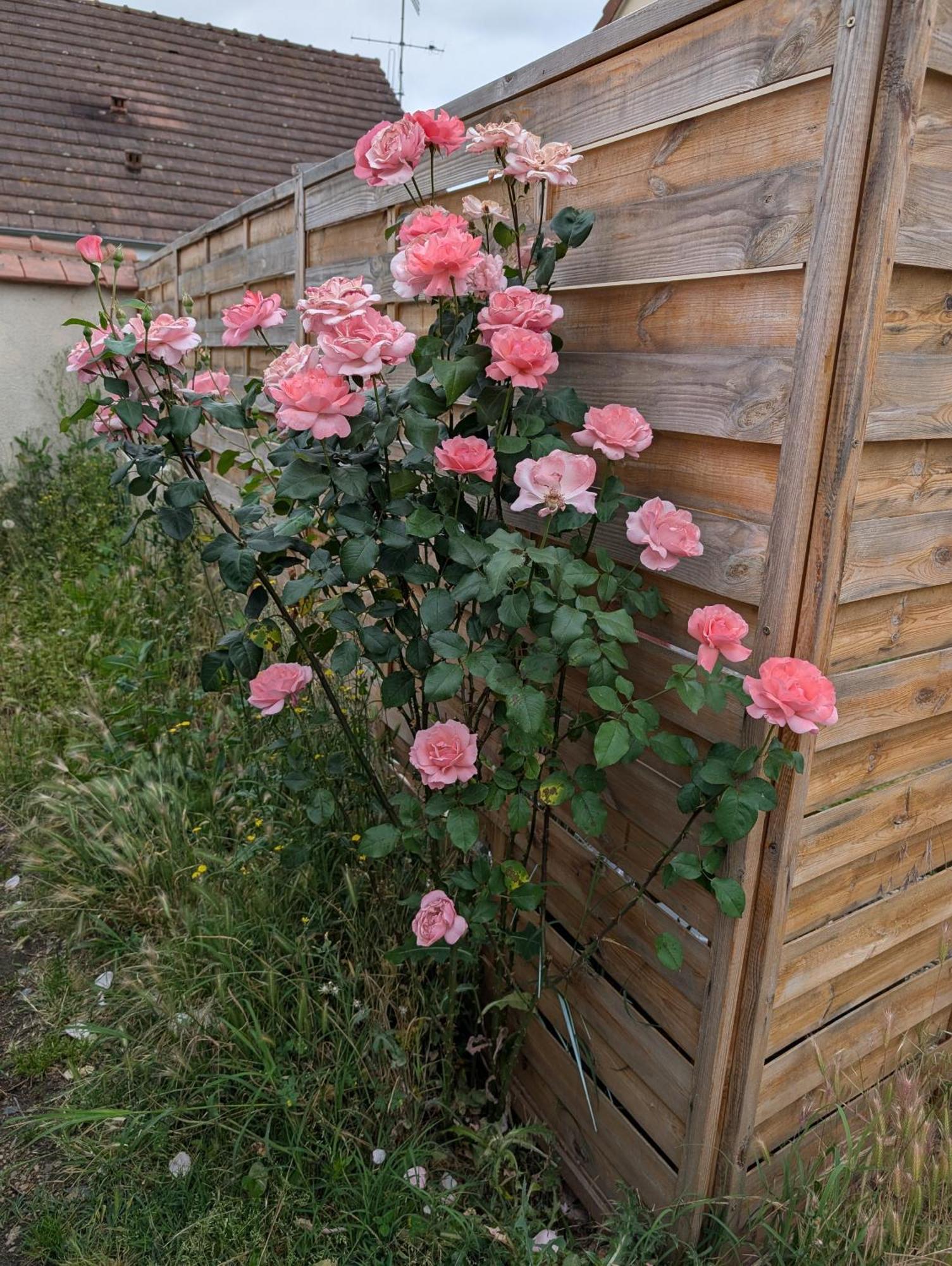 Petit Mas Cosy Du Bord De Loire A 15 Mm Du Parc Le Pal Appartement *